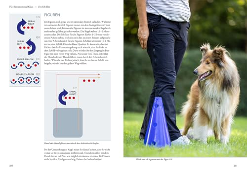 Rally Obedience: Grundlagen, Parcours-Pläne, Trainingsspiele, Mit allen neuen nationalen und internationalen Wettbewerbsbestimmungen