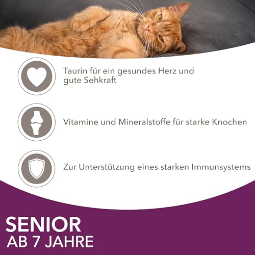 IAMS Delights Senior Katzenfutter Nass - Multipack mit Huhn und Fisch in Sauce, hochwertiges Nassfutter für ältere Katzen ab 7 Jahre, 12 x 85 g