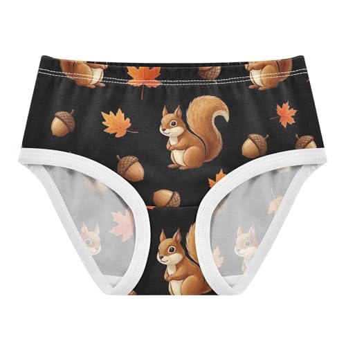 Toddler Girls Underwear 2t Cotton Panties for Girl Florals Briefs Undies Kids Cute Brown Squirrels Black