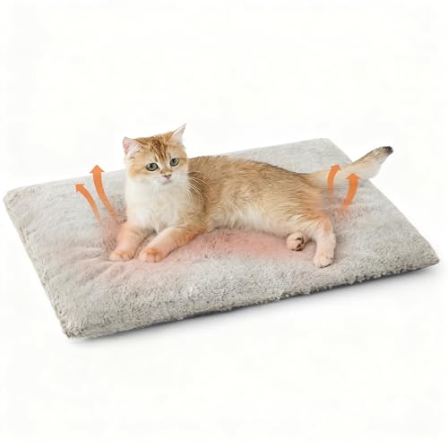 Bedsure Self Warming Cat Bed Extra Warm Self Heating Mat for Cats & Dogs Non Electric Anti-Slip Small Thermal Pet Pad Indoor with Removable Washable Cover 24 x 18 Brown