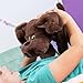 Basic Fun Pound Welpen Weighted Snuggles Plüsch – Dunkelbraun mit Langen Ohren – Weiches gewichtetes Plüsch-Komfortspielzeug mit klassischem Design – Für Alter 3+