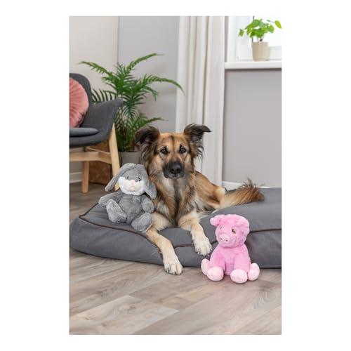 Trixie Schweinchen Edison Plüschtiere aus Recycling-Material - Flauschiges Hundespielzeug für nachhaltiges Spielen - weiches Öko-Plüsch Stofftier, 24cm - Be Eco Kollektion - 34881