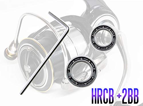 Amazon | 【ダイワ】19セルテート LT2500S - LT5000D-XH用 MAX12BB  