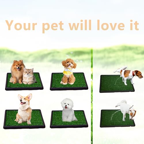 Image of NESIGHTION--Dog Toilet that Can Drain Water, Dog Urinal.25 * 20 * 2 in | Includes a 6.6-foot drainage pipe that allows pet urine to flow away directly, saving the owner's time