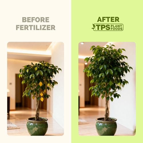 Fertilizante Líquido para Árbol de Ficus 8 oz miniatura 3