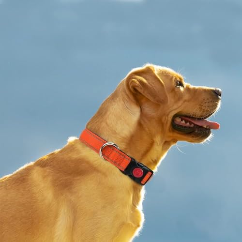 Taglory Hundehalsband, Weich Gepolstertes Neopren Nylon Hunde Halsband für Extra Große Hunde, Verstellbar und Reflektierend für das Training, Orange