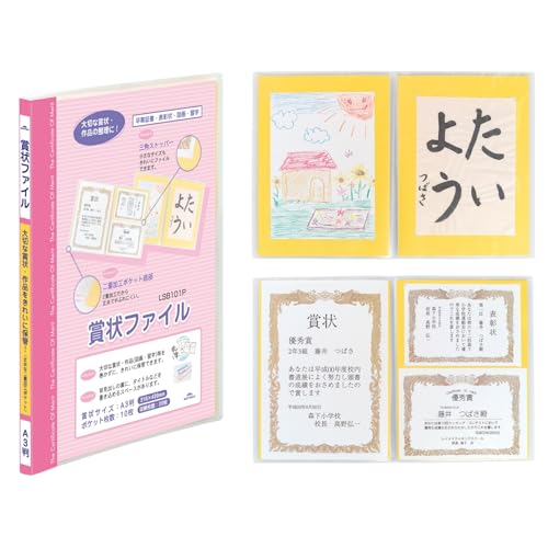 CC ܏t@C A3 sN LSB101P