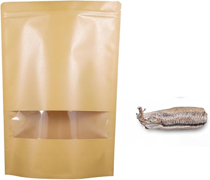 Carolina Praying Mantis Egg Case with Hatching Habitat Bag –Includes