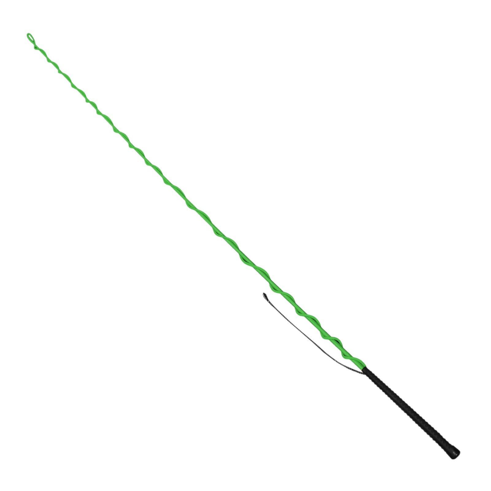 EQuest Longierpeitsche - grün - 180 cm