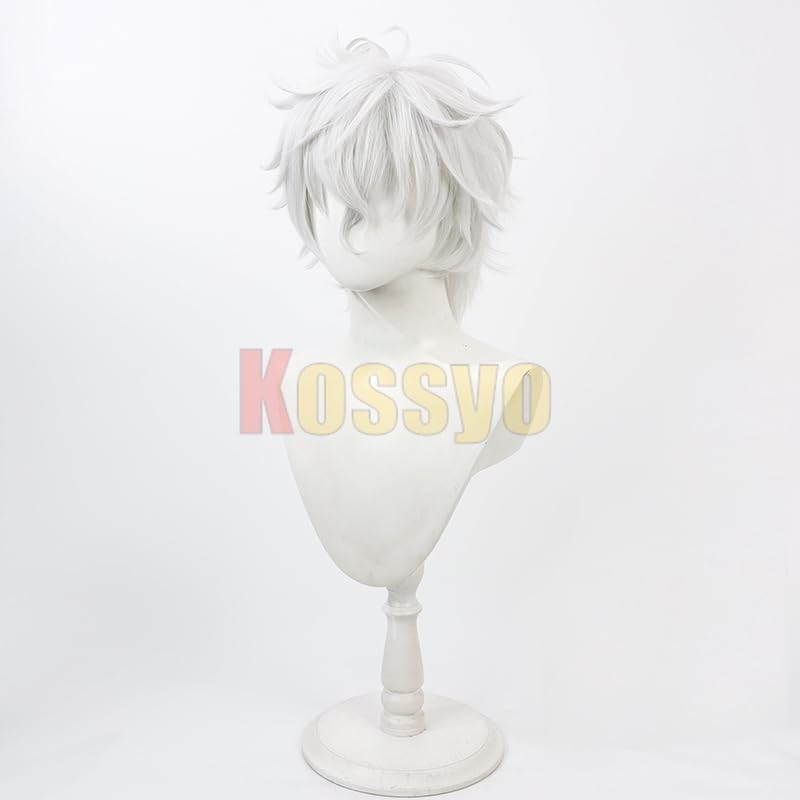 Amazon.co.jp: コスプレウィッグ 叢雲カゲツ 耐熱 文化祭 小物 