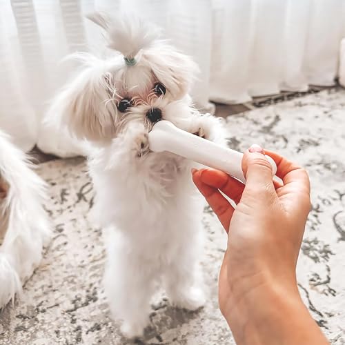 Image of Nylabone New Puppy Starter Kit, Puppy Teething Toys, 3 Pack, Blue | Teething toys for puppies, natural chew treat & toy set for small dogs up to 25 lbs, long lasting chicken & bacon flavor