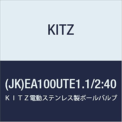 Lbcd(AC100V)XeX10K{[^PC(JK)EA100UTE11/2:40y󒍐Yiz