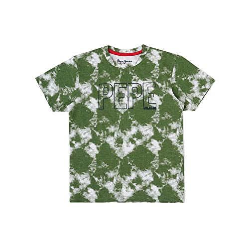 Image of Pepe Jeans Boys Regular Fit Printed T-Shirts Olive