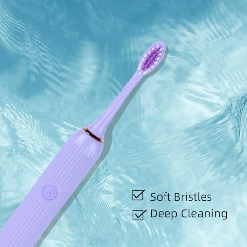 Image of MINISO Electric Toothbrush AA R6 Battery Powered Roman Pillar Design + 3 Brush Heads (Purple)