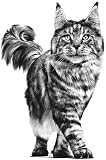 Royal Canin Veterinary Feline Urinary 1.5kg - 3