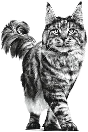 Royal Canin Veterinary Feline Urinary 1.5kg - 3