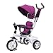 GYF Tricycle, Tricycle Multi-Fonctions for Enfants avec auvent, Tricycle extérieur for bébé de 1 à 5 Ans, Violet, 34x51cm