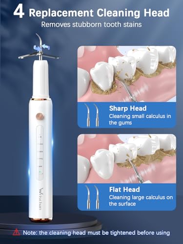 Wrischan Zahnsteinentferner, Zahnreiniger für Haustiere, Hund Zahnreinigung Kit, 5 einstellbare Modi 4 austauschbare Köpfe, Katzen Zahnreinigung Tools, Hund Zahnreinigung Set mit LED-Licht