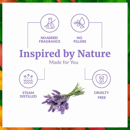 Image of SVA Lavender Essential Oil Organic - 2 Fl Oz - 100% Natural Organic Lavender Oil - for Diffuser, Hair, Face, Skin Care, Aromatherapy, Scalp and Body Massage, Soap and Candle Making - with Dropper