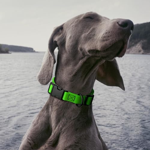 Image of Dogline Biothane Waterproof Dog Collar with Quick Release Buckle Strong Coated Nylon Webbing with Odor- Proof for Easy Care Easy to Clean Fits Small Medium Large Dogs, Lime Green 5 /8 inch W 9-14 inch L