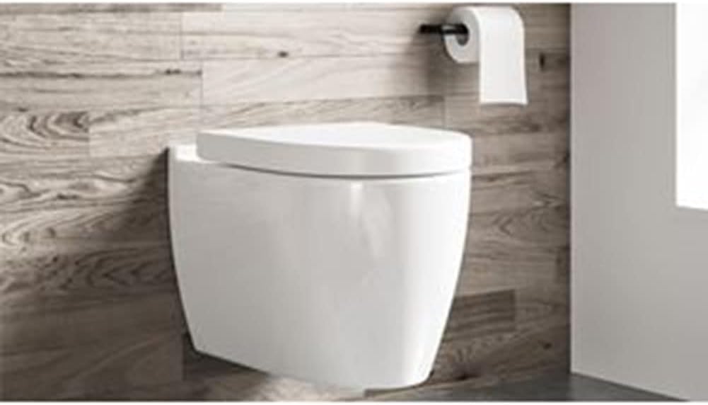 Daaxing Kit De Fixation Universel Toilettes Suspendues - Charnières Inox, Vis Couvercle, Installation Facile (Blanc)