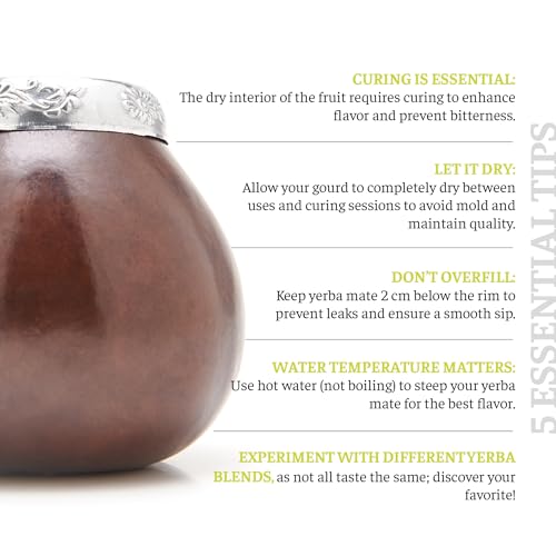 BALIBETOV Authentic Argentine Yerba Mate Cup & Bombilla Set - Traditional Hand-Carved Natural Mate Gourd from Argentina (Dark Brown)