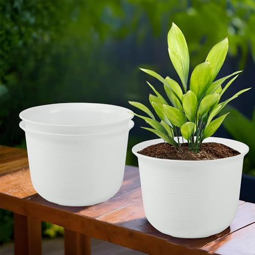 Kuber Industries Pack of 3 Plain Sawera Design 10 Inch Flower Plant Pot with Plate for Home & Garden | Stylish Pots for Plants Balcony | Ideal for Home Decor & Office Spaces | White