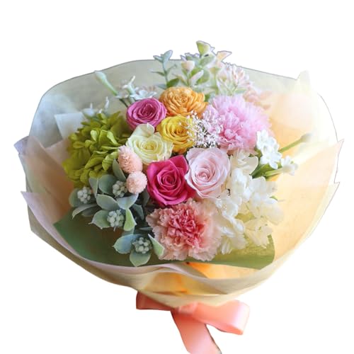 u[PuVF vU[uht[ ԑ Mtg ͂Ȃ v[g a j ސEj ut[EOv (pXe)