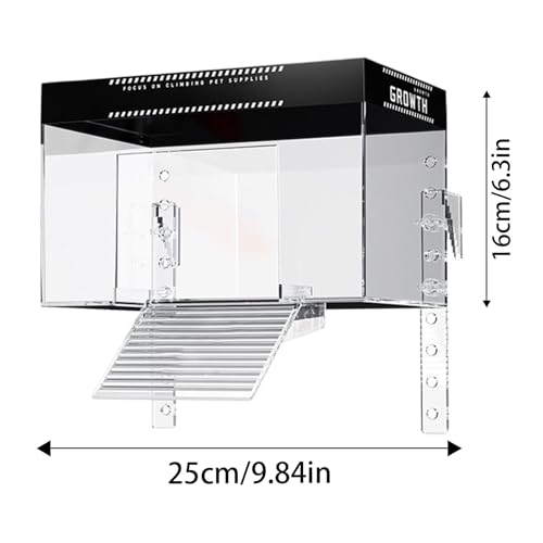 Dock pour turtle tank avec rampe d'accès pour l'habitat des reptiles