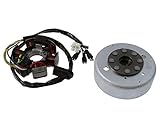 Lichtmaschine Stator / Rotor - Derbi Senda 50 (2006-) D50B0