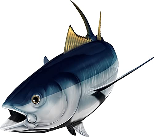 Albacore Tuna Beautiful Fish Decal | Fishing Decal for Boat, Car, Vehicle, Truck Etc. | Waterproof Vinyl Sticker | Many Sizes & Styles Available | 12" to 40" by Digital Fish Art (Small, Position 5)