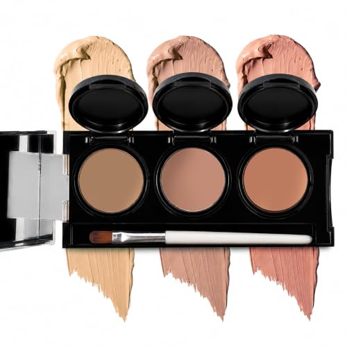 Dermaflage Concealer Palette