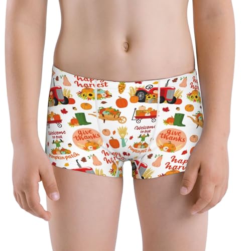 Boys' Cotton Boxer Brief Soft Underwear-Fall Farm Pumpkin