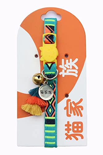 LƑ Lp  hJ Z[teBobNt t L̎ L ΐF O[ (A)