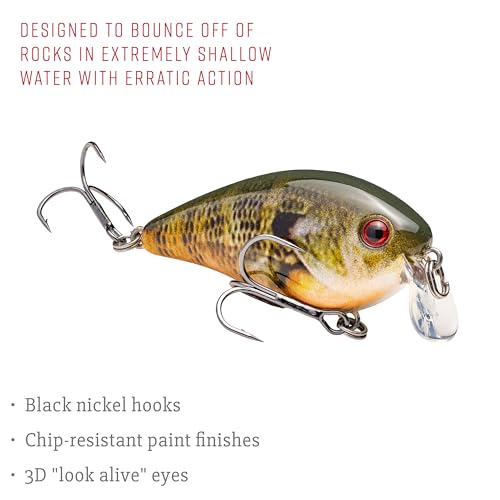 Image of Strike King KVD 1.5 Shallow Square Bill Crankbait