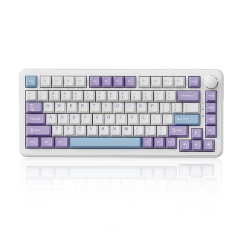 Image of AJAZZ AK820 HE Wired 75% Gaming Keyboard, Hall Effect Magnetic Switch with Rapid Trigger, 8KHz Polling Rate, Gasket Mount, PBT Keycaps, RGB Backlit, Metal Volume Knob for PC /Mac, Purple
