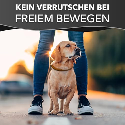 Rund & Weich Zugstopp Hundehalsband, Cognac, M - 50cm Lederhalsband mit Zugbegrenzung und Verstellbarer Schnalle, Dressurhalsung, Zugstopper, robust, Rindsleder