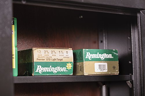 American Furniture Classics 10 Gun Cabinet Metal Gun Cabinet #TOP4