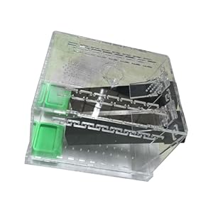 Libgiubhy Transparente Grillen-Lebensraumbox 10L