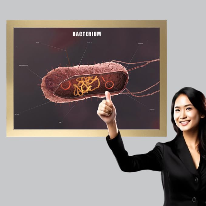 Image of Taanfu Body Educational Learning Anatomy Posters ，Bacterium Art Bacterium Villi Anatomy Art Poster Digestive System Organs Illustration Small Intestine Physiology Anatomy Wall Art Villi