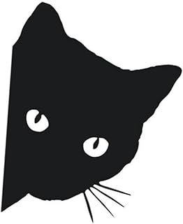 Hemobllo Adesivos Para Carros Adesivos Pretos Adesivos Para Animais De Estimação Adesivos Automotivos Adesivos Para Motocicletas Adesivos Brancos Para Olhos De Gato Coruja Noturna Câmeras