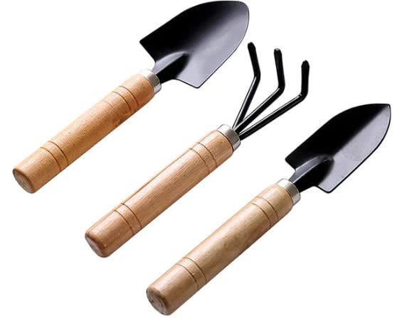 Auraaq Mini Garden Tool with Wood Handle Cultivator, Small Trowel, Garden Fork - Set of 3