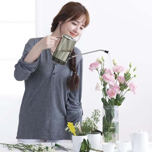 2 Stück Gießkanne Zimmerpflanzen, Gießkanne 1L mit Edelstahl Langer Auslauf, Giesskanne Zimmerpflanzen, Mini Gießkanne, Kleine Gießkanne für Zimmerpflanzen für Haus Bonsai Gartenblume Giesskanne