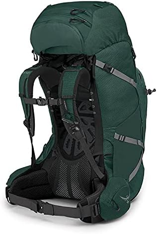 Osprey Aether Plus 85 Men's Backpacking Backpack Axo Green, Small/Medium Sporting Goods