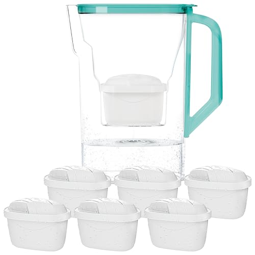 Wessper Jarra Filtradora Agua con Filtros, Jarra para Puerta de Frigorífico de 2,7 Litros, Filtro con Carbón Activo y Resina de Intercambio Iónico, Jarra y Juego de 6 Cartucho - Menta