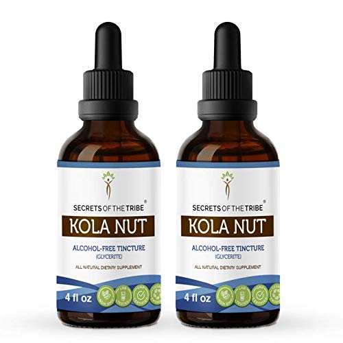 Secrets of the Tribe Kola Nut Tincture Alcohol-Free Extract, Kola nut (Cola Acuminate) Dried Nut (2x4 FL OZ)