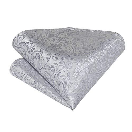 Set de corbata ascot de seda plateada para hombre miniatura 3