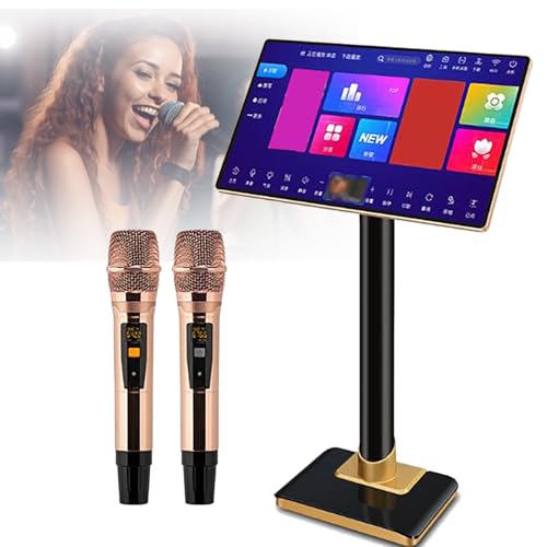 Reproductor de karaoke de 19/21,5 pulgadas, pantalla táctil HD, control de voz inteligente, almacenamiento de 500 GB a 8 TB + múltiples interfaces, para fiestas en interiores y exteriores. (B 19inch)