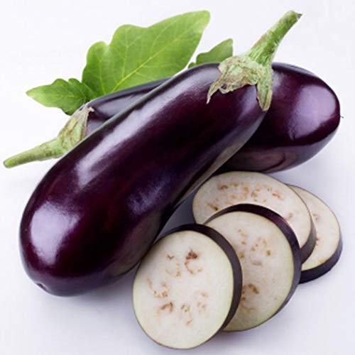 Bravet Vegetable Seeds - 200pcs Eggplant Seeds Organic Vegetable Rich In Vitamin Mixed Eggplant Seeds for Home Garden