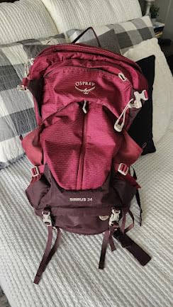 atom patagonia sling bag Patagonia 48262 Atom Sling 8L